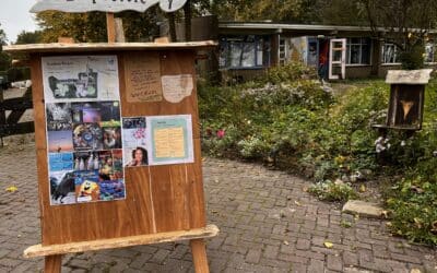 Kunst10daagse op Ecodorp Bergen